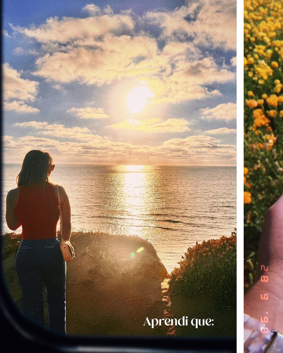 Post 5 by Michelle Dias on Instagram (carousel)
