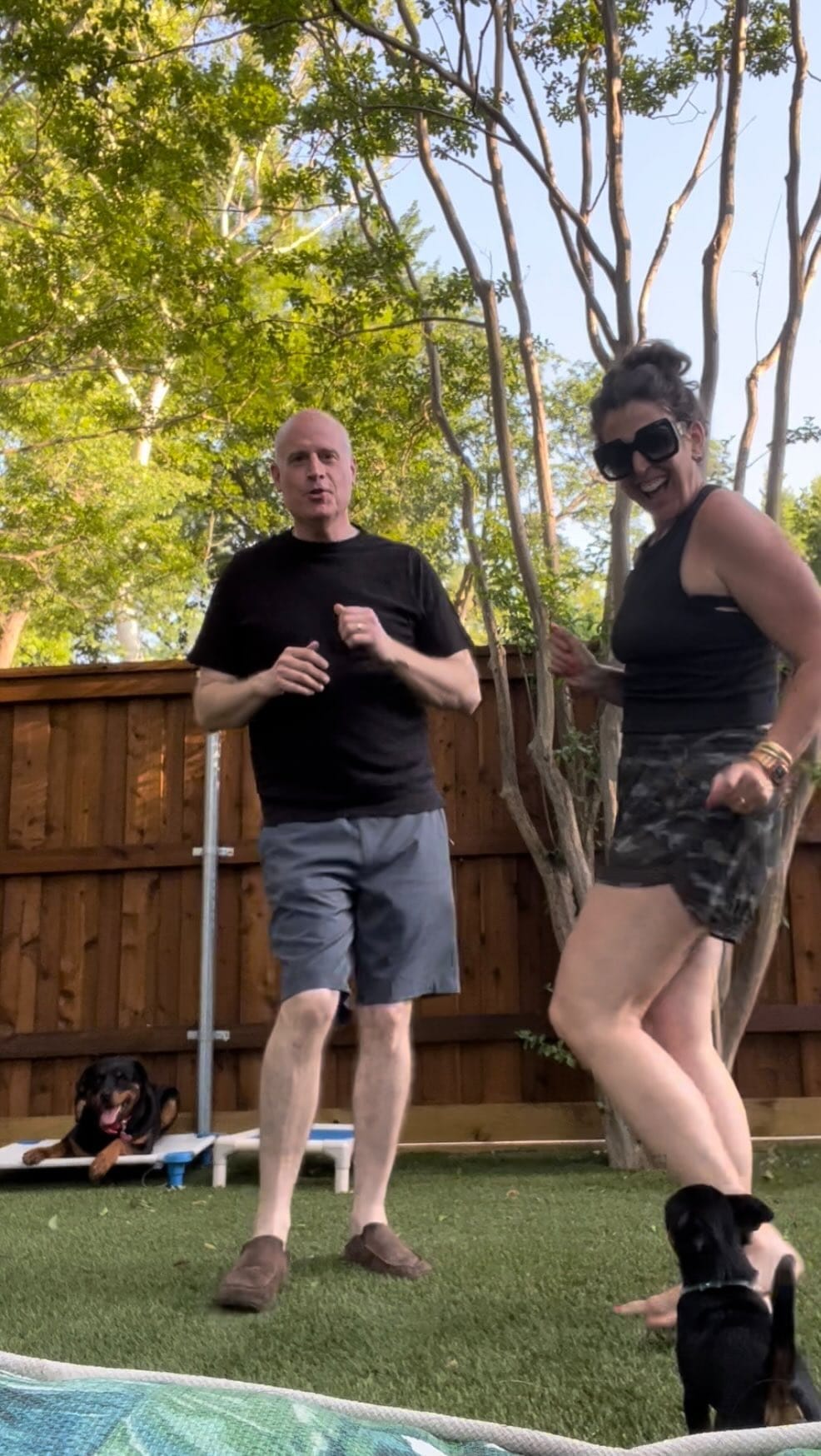 Post 10 by Dallas  Rottweilers on Instagram (video)