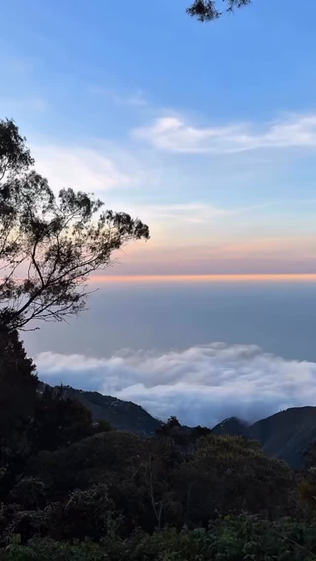 Post 8 by Susana Sanchez - Creador de contenido | UGC | Orlando Fl on Instagram (video)