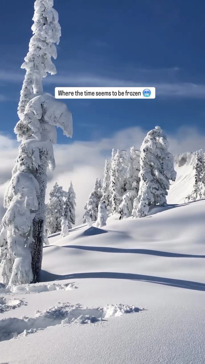 Post 8 by Heena | Adventures & Lifestyle on Instagram (video)