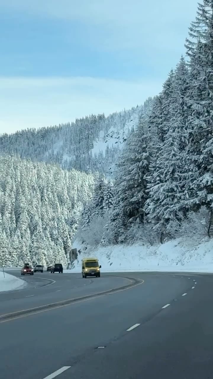 Post 9 by Heena | Adventures & Lifestyle on Instagram (video)