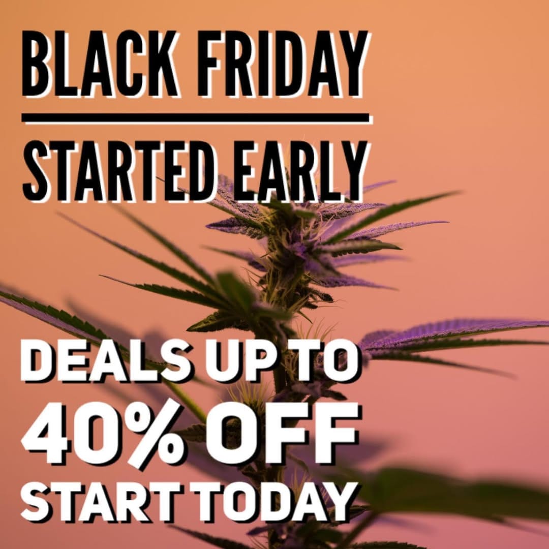 Post 7 by CBD Oil Store on Instagram (image)
