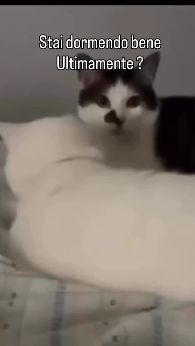 Post 4 by Susy Toscani on Instagram (video)