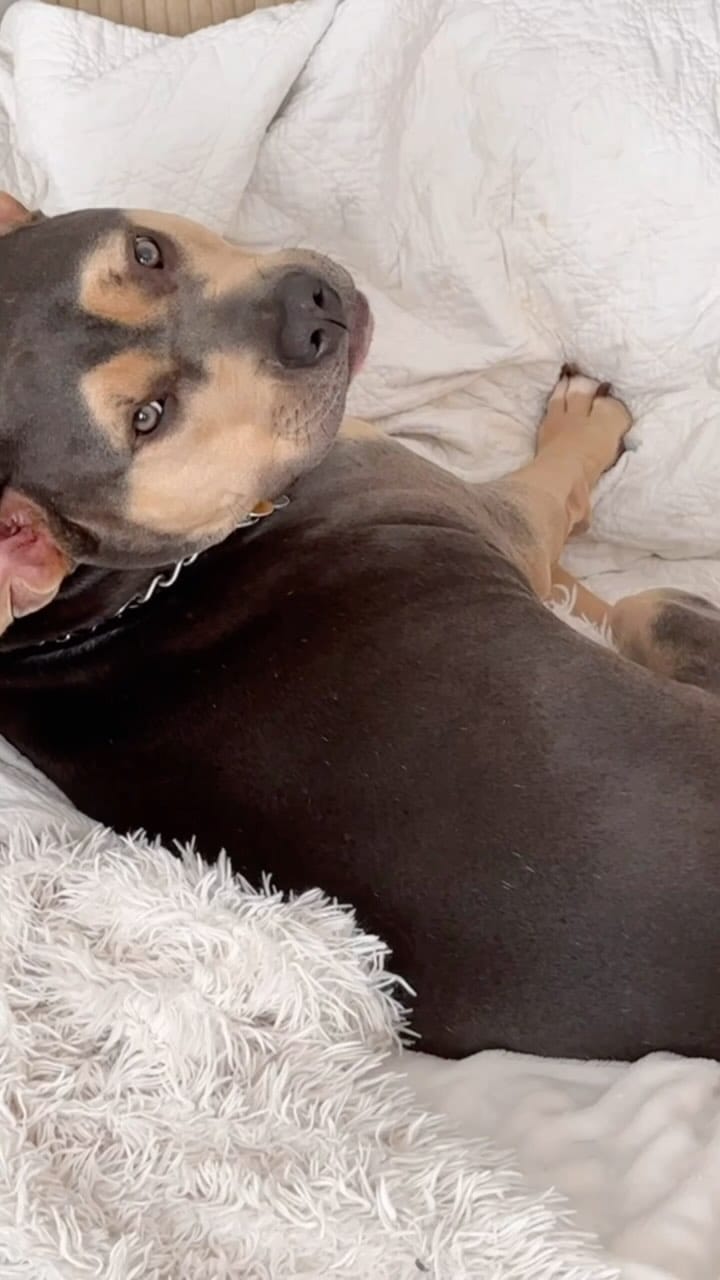 Post 8 by Jessica Crovato on Instagram (video)