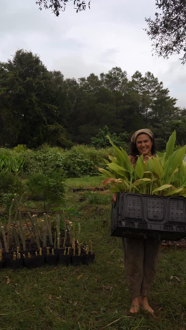 Post 5 by Ange Heese on Instagram (video)
