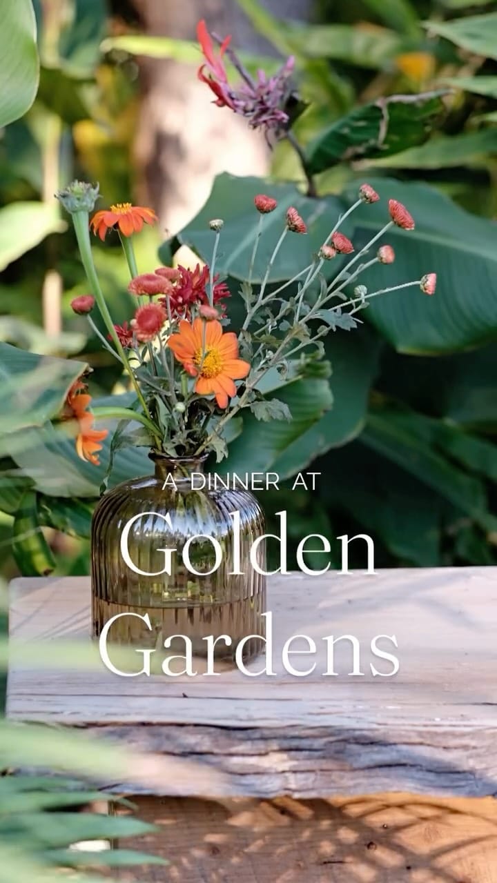 Post 2 by Ange Heese on Instagram (video)