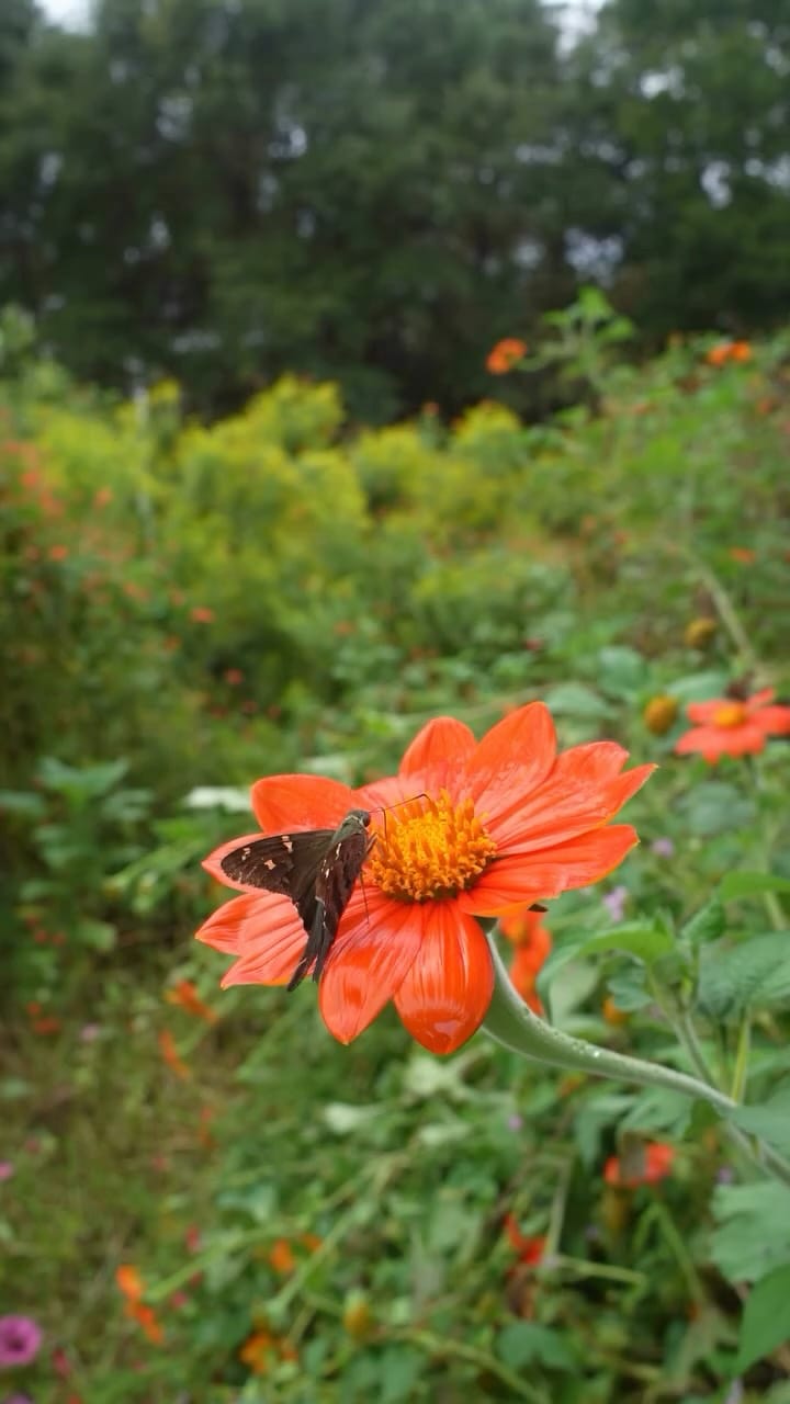 Post 6 by Ange Heese on Instagram (video)