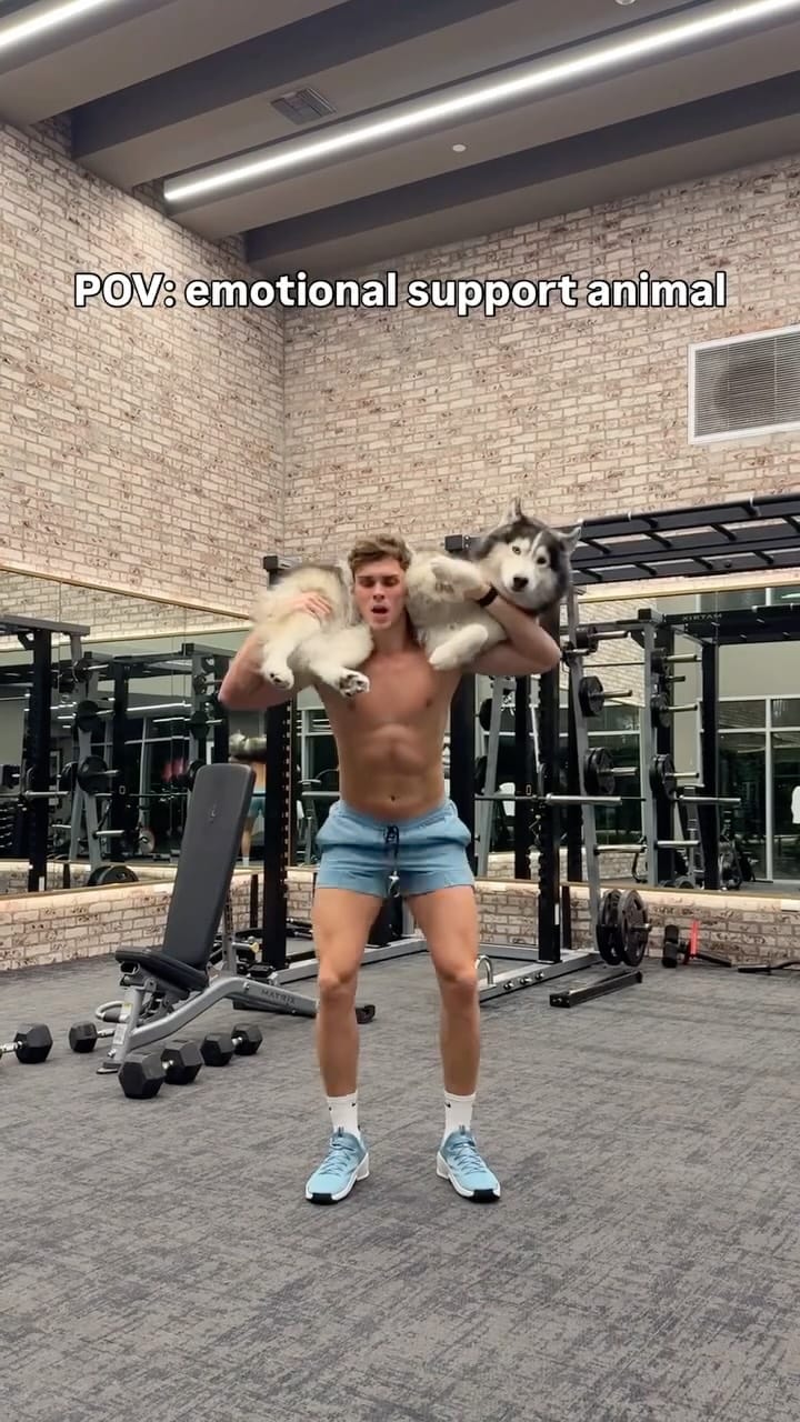 Post 4 by Andrew Moroz on Instagram (video)