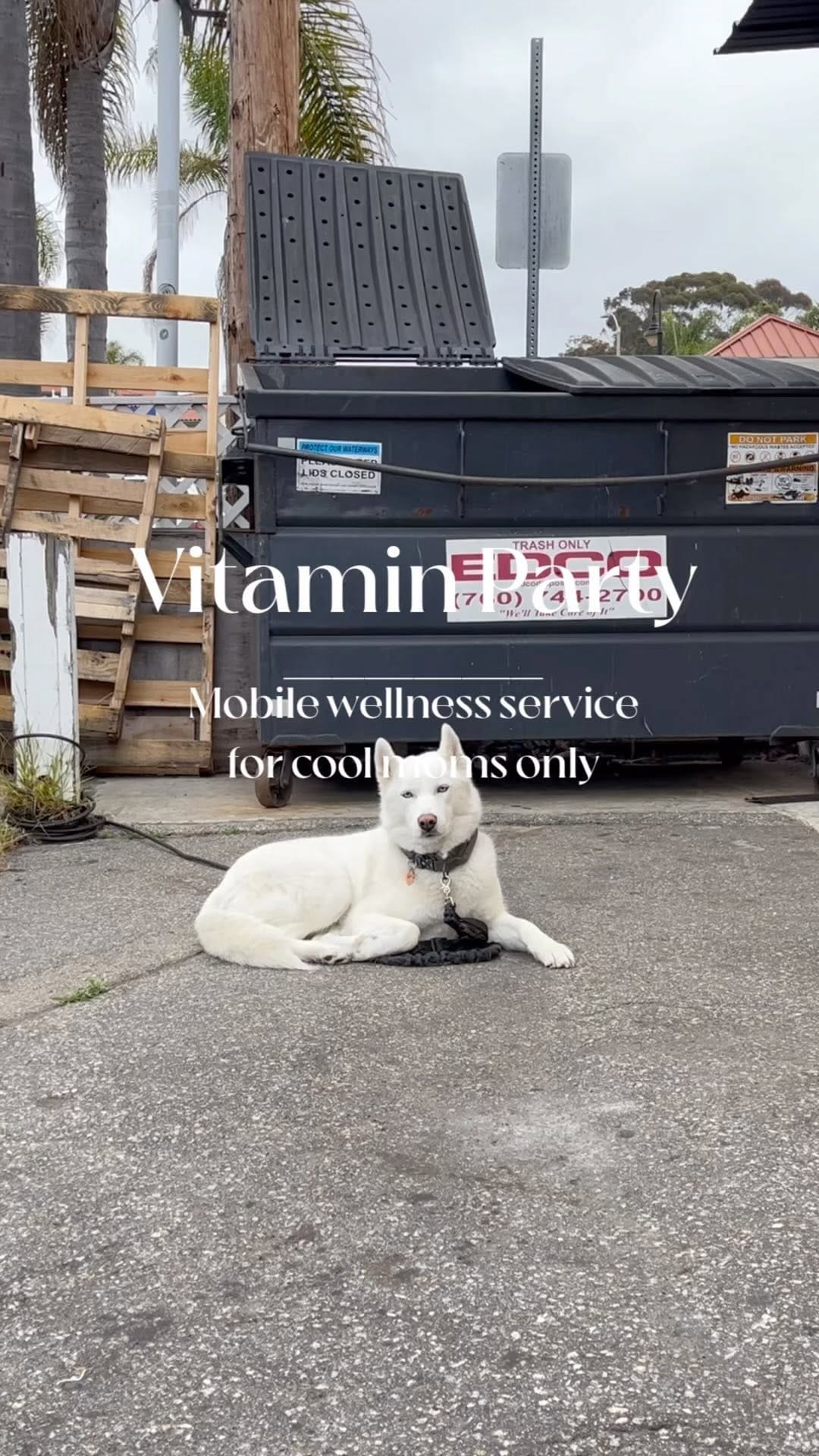 Post 8 by Ara on Instagram (video)