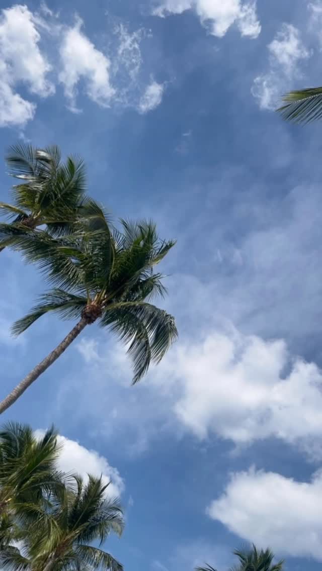Post 4 by Mary Breedlove on Instagram (video)