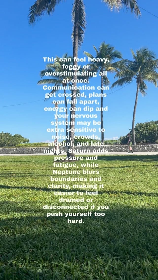 Post 7 by Regan Tighe on Instagram (video)
