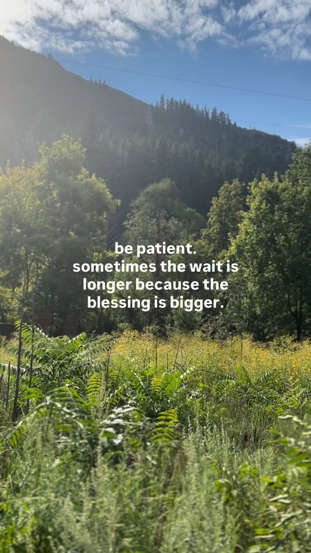 Post 4 by Elyse 🌸 on Instagram (video)