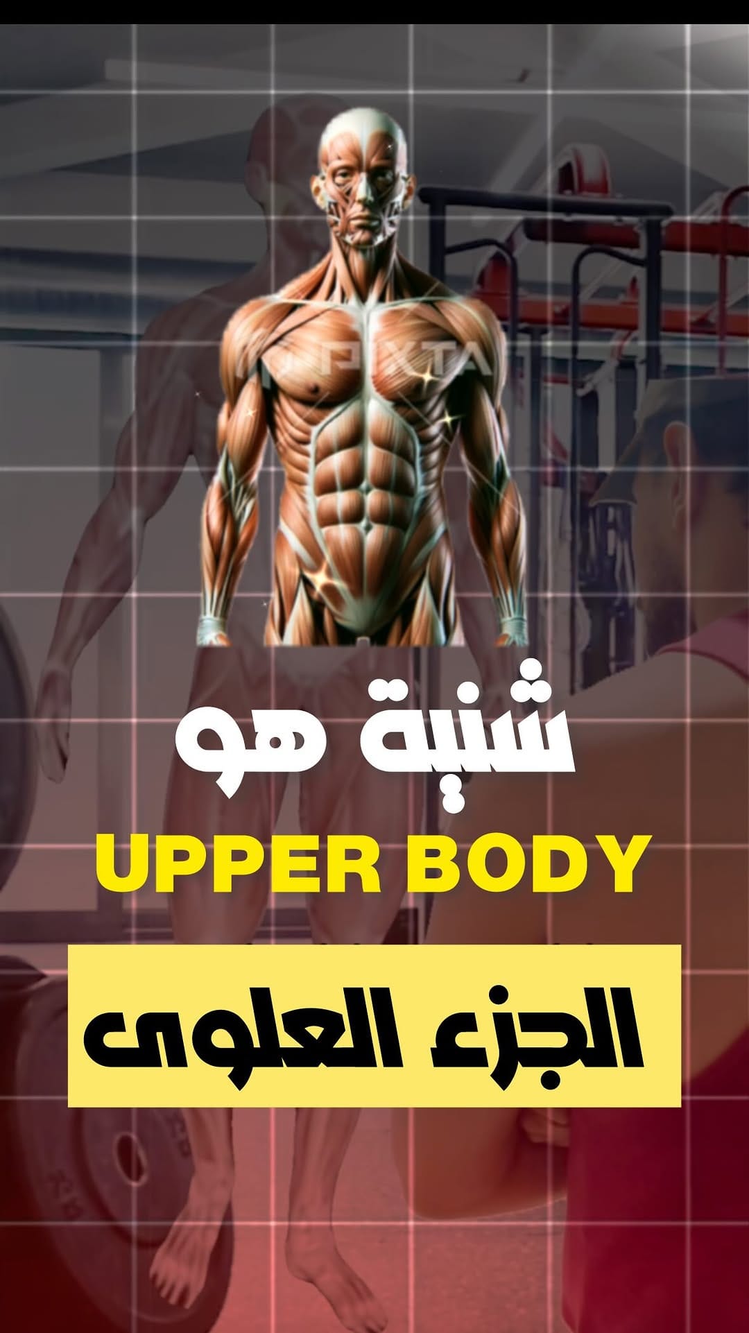 Post 5 by WAEL SEHLY - COACH SPORTIF | NUTRITION on Instagram (video)