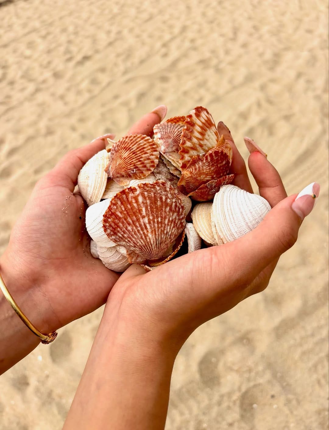 Post 6 by Messina Seymour🐲 on Instagram (image)