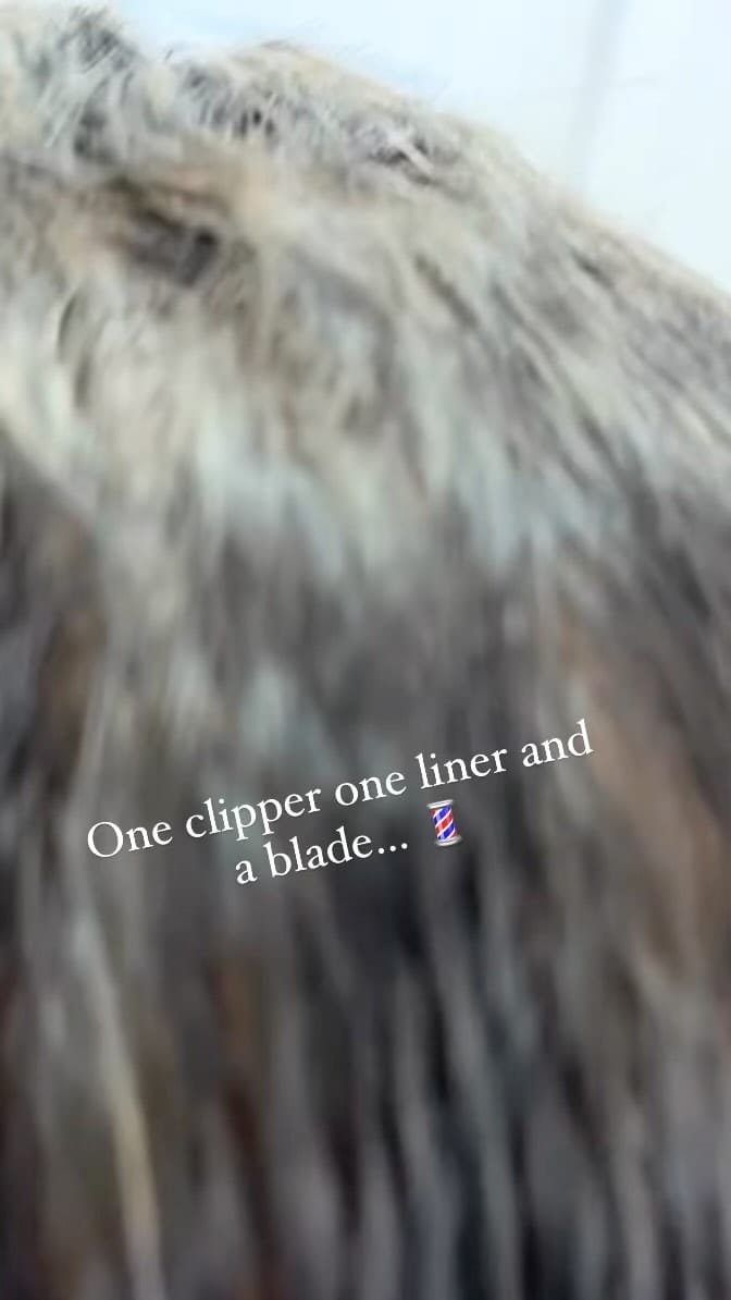 Post 9 by Saed Nurhussien on Instagram (video)