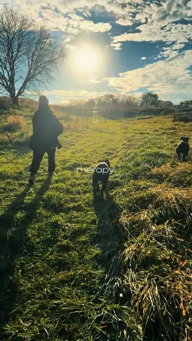 Post 6 by Noel Sweeney on Instagram (video)
