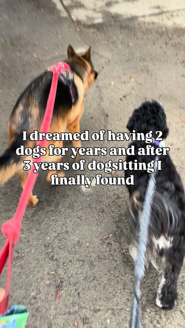 Post 5 by Erika Hazel on Instagram (video)