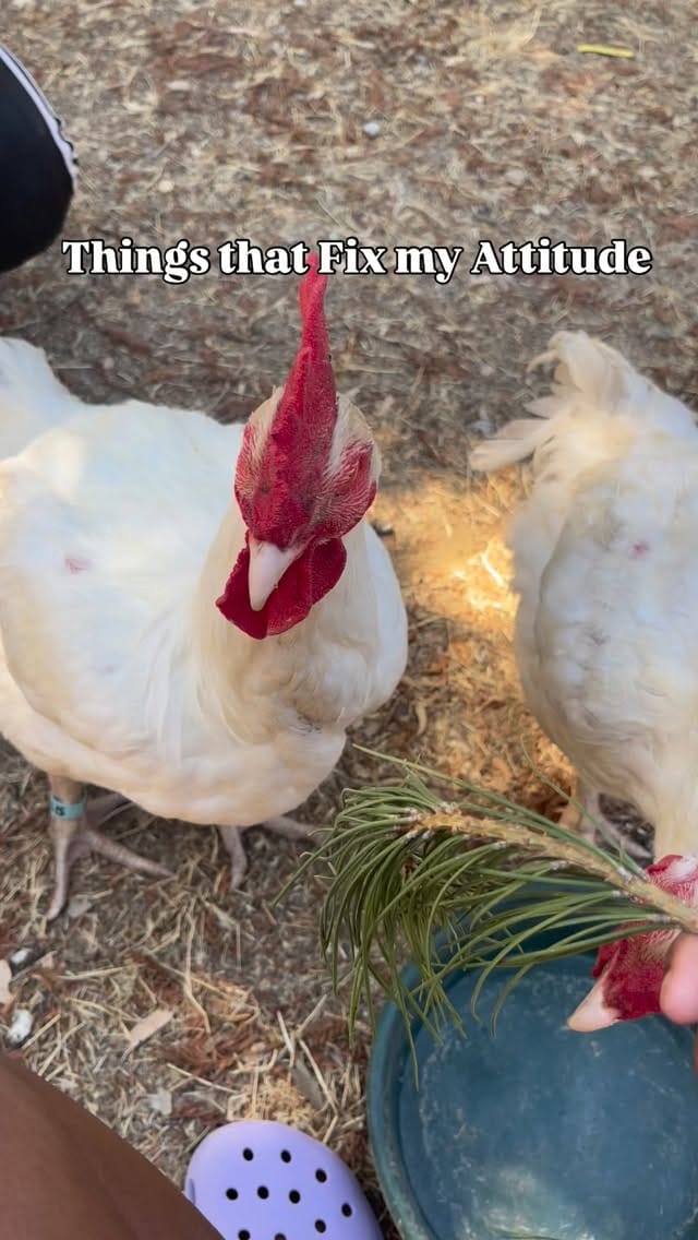 Post 1 by Erika Hazel on Instagram (video)
