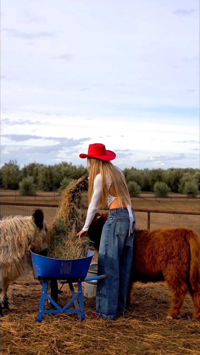Post 4 by Cherish Petlansky on Instagram (video)