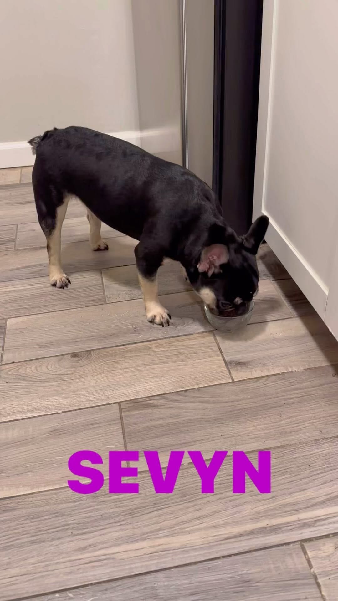 Post 5 by Ronnie D Stevens Jr. on Instagram (video)