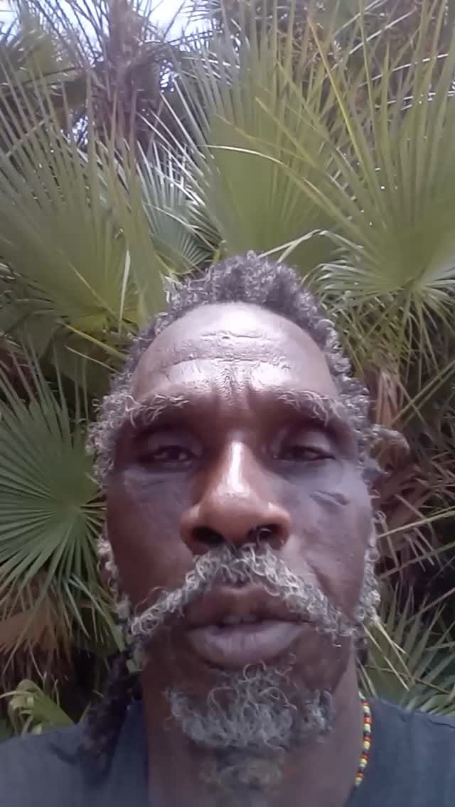 Post 1 by Alkaline Rainforest Herbs® on Instagram (video)