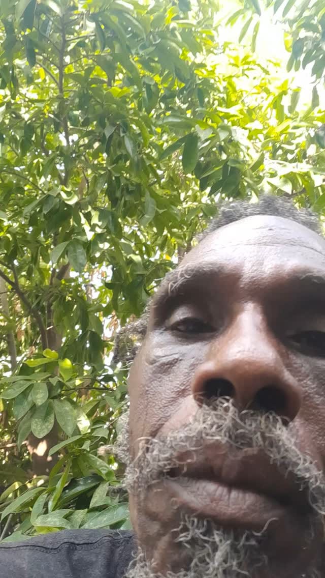 Post 2 by Alkaline Rainforest Herbs® on Instagram (video)