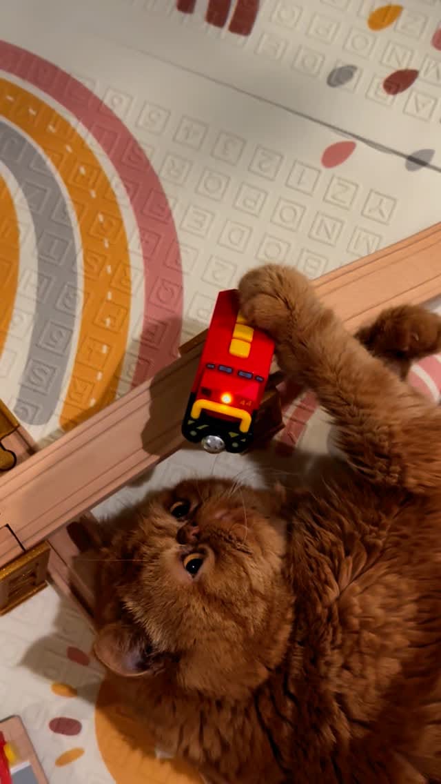 Post 9 by 🐾Cookie Dough🐾 on Instagram (video)