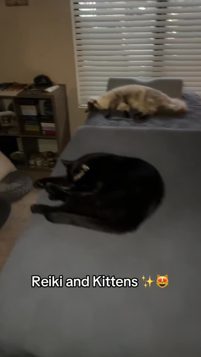 Post 5 by Brittany Prince on Instagram (video)