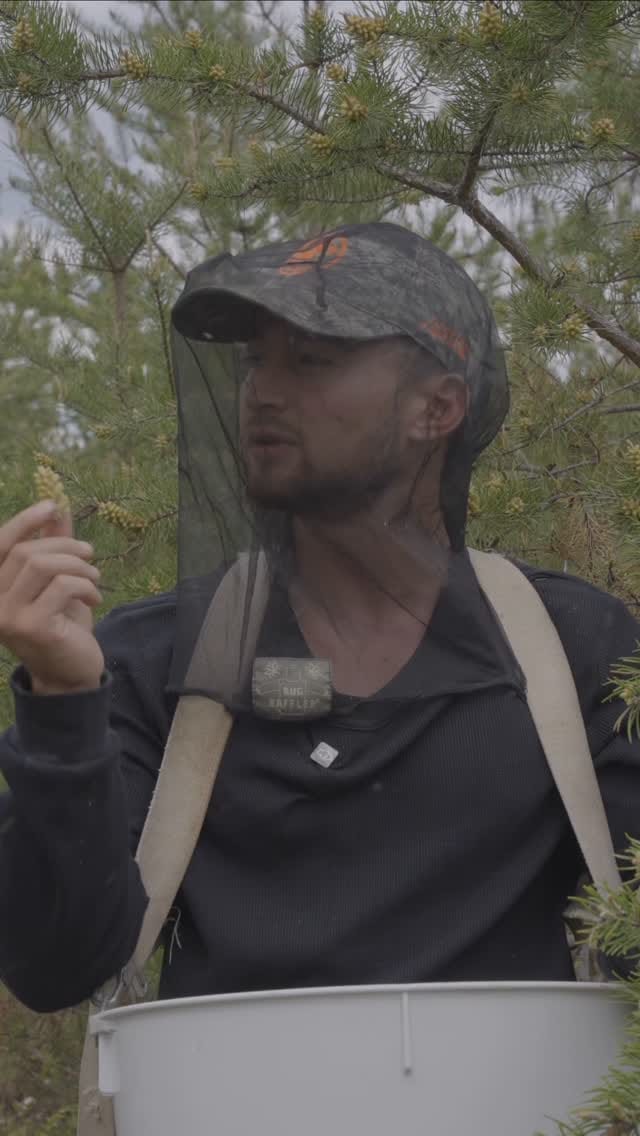 Post 5 by BASED Supplements on Instagram (video)