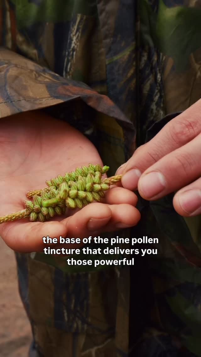 Post 2 by BASED Supplements on Instagram (video)