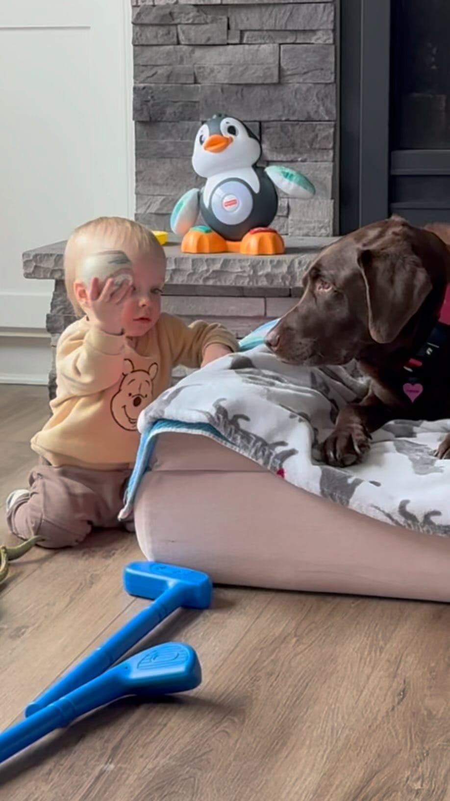 Post 10 by Harper on Instagram (video)