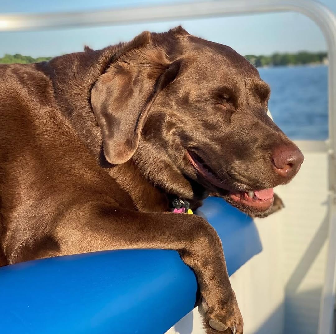 Post 4 by Harper on Instagram (image)