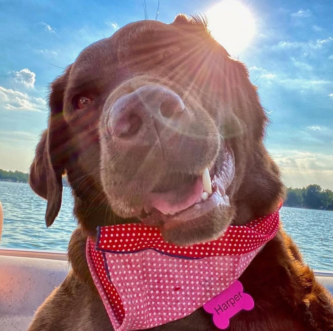Post 9 by Harper on Instagram (carousel)