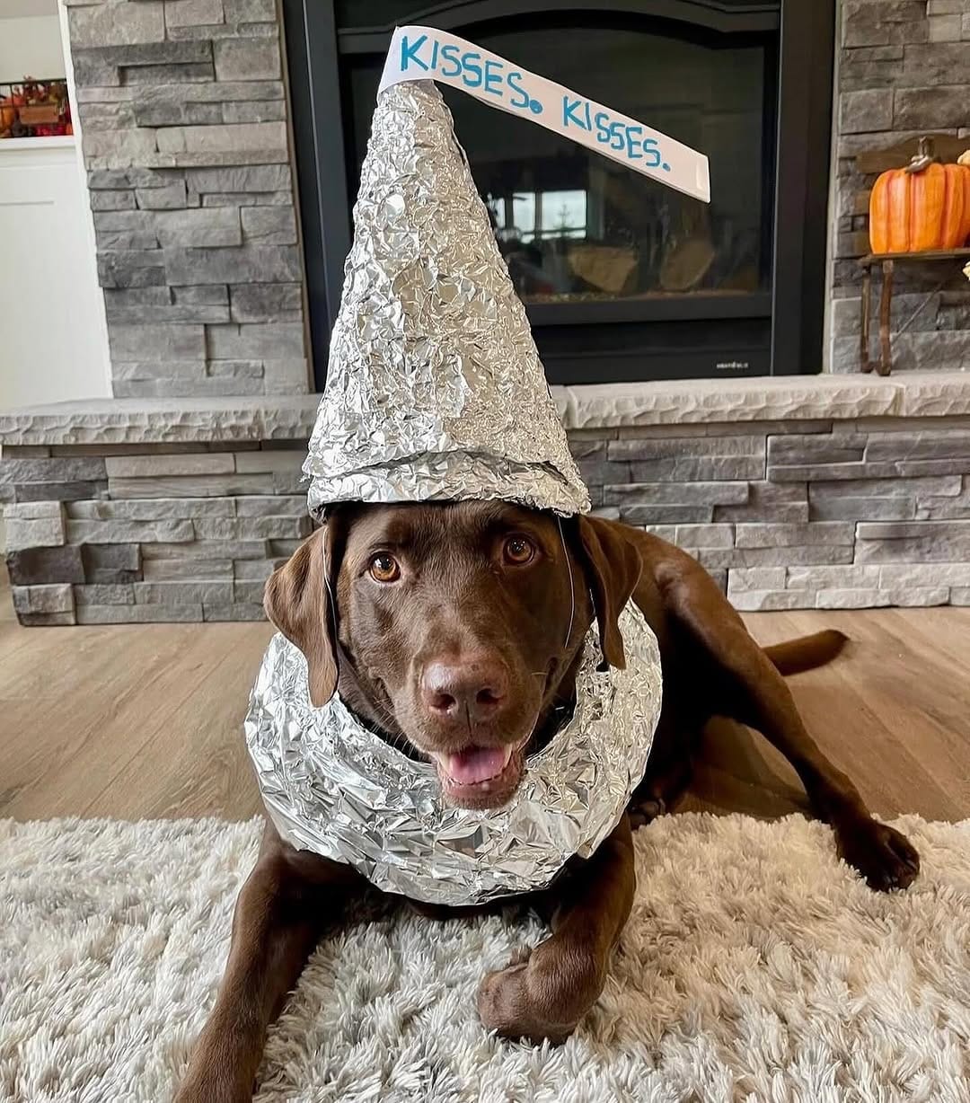 Post 3 by Harper on Instagram (image)