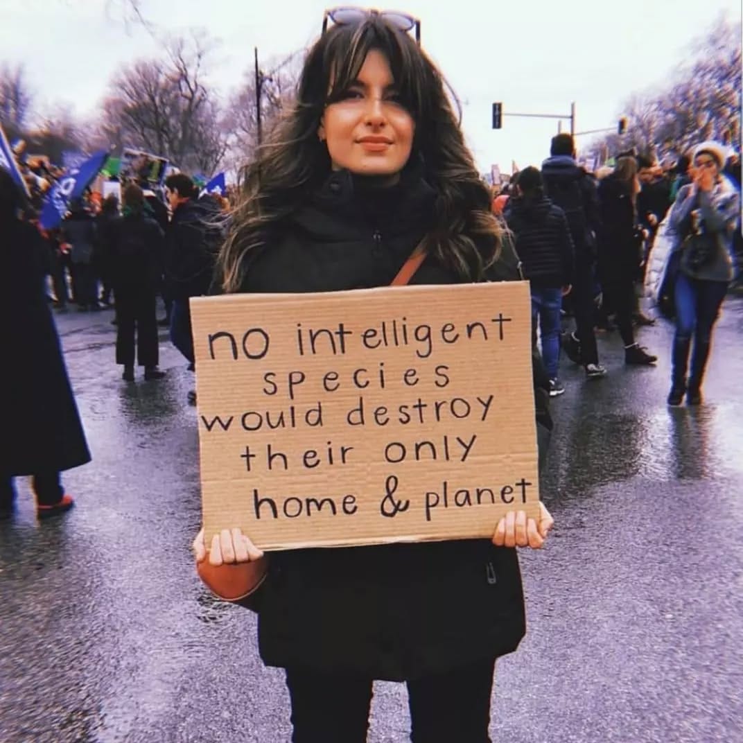 Post 1 by Address Chic: Vegan Lifestyle on Instagram (image)