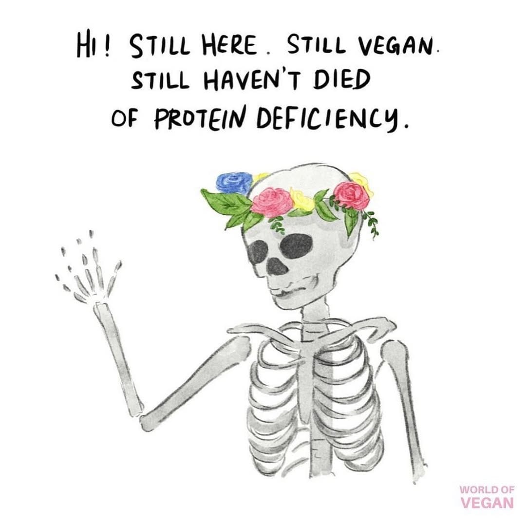 Post 9 by Address Chic: Vegan Lifestyle on Instagram (image)