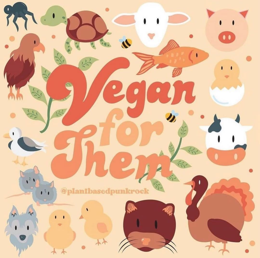 Post 4 by Address Chic: Vegan Lifestyle on Instagram (image)