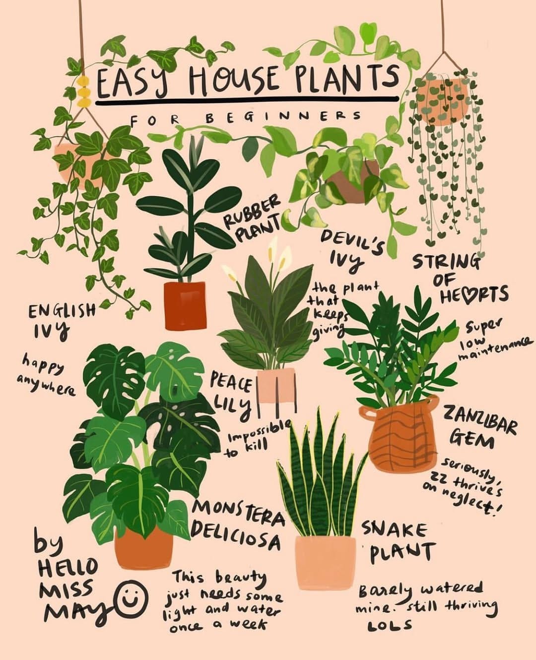 Post 10 by Address Chic: Vegan Lifestyle on Instagram (image)