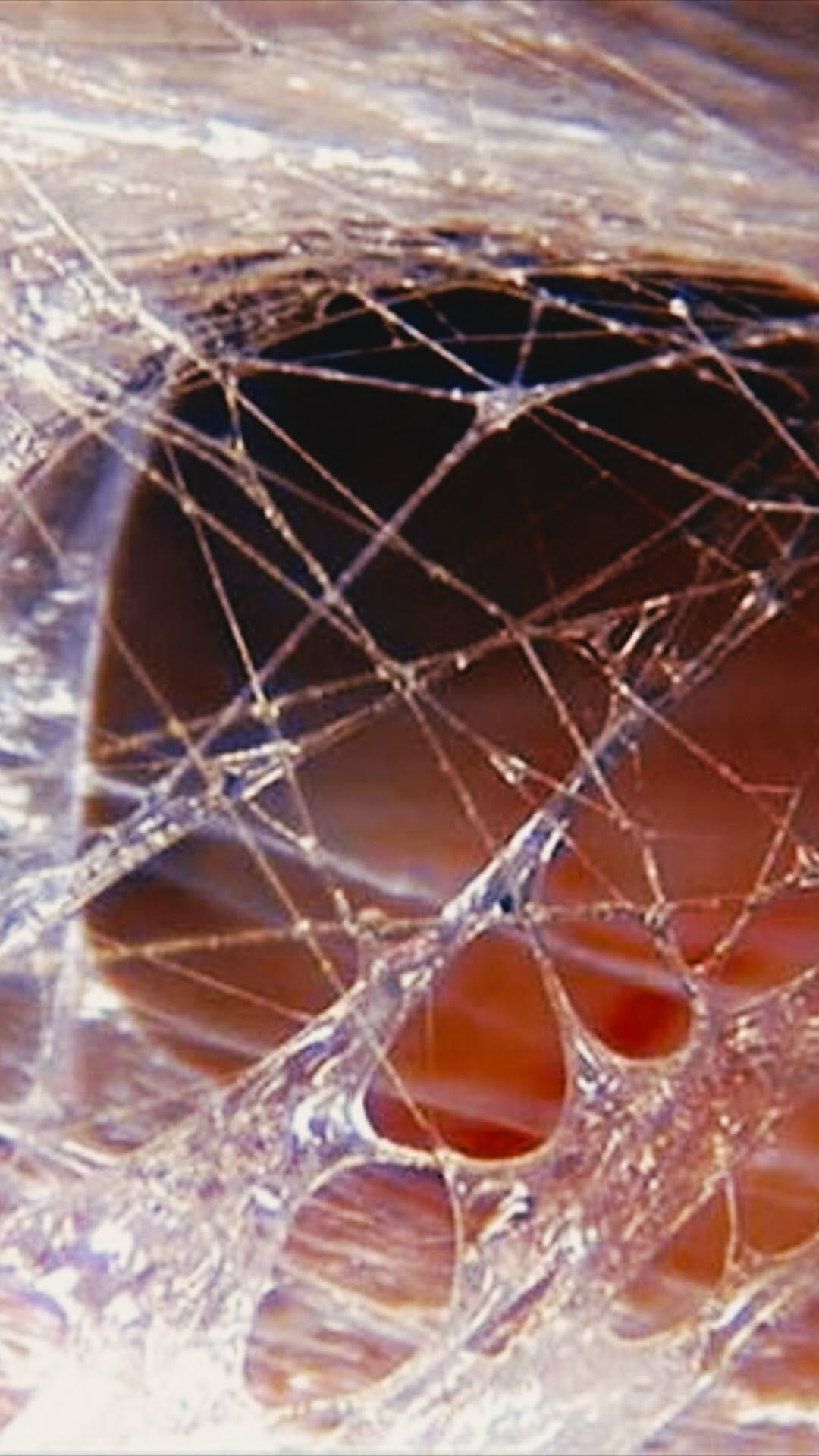 Post 5 by Max Brasseal | Sound Vibration Alchemy on Instagram (video)