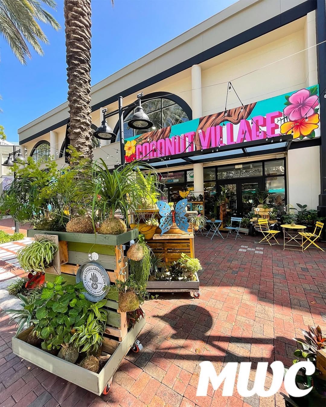 Post 7 by Miami Wellness Club ® Official on Instagram (carousel)