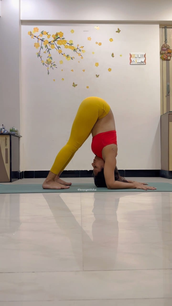 Post 9 by Shailee(Shai)|*Yoga Teacher*🧿 on Instagram (video)