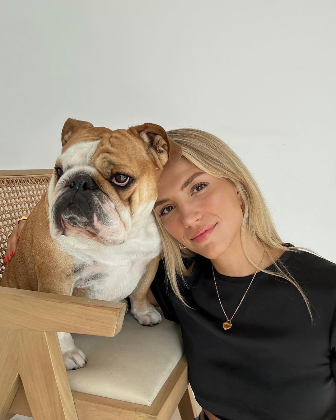Post 9 by Pepperoni the Bulldog on Instagram (carousel)