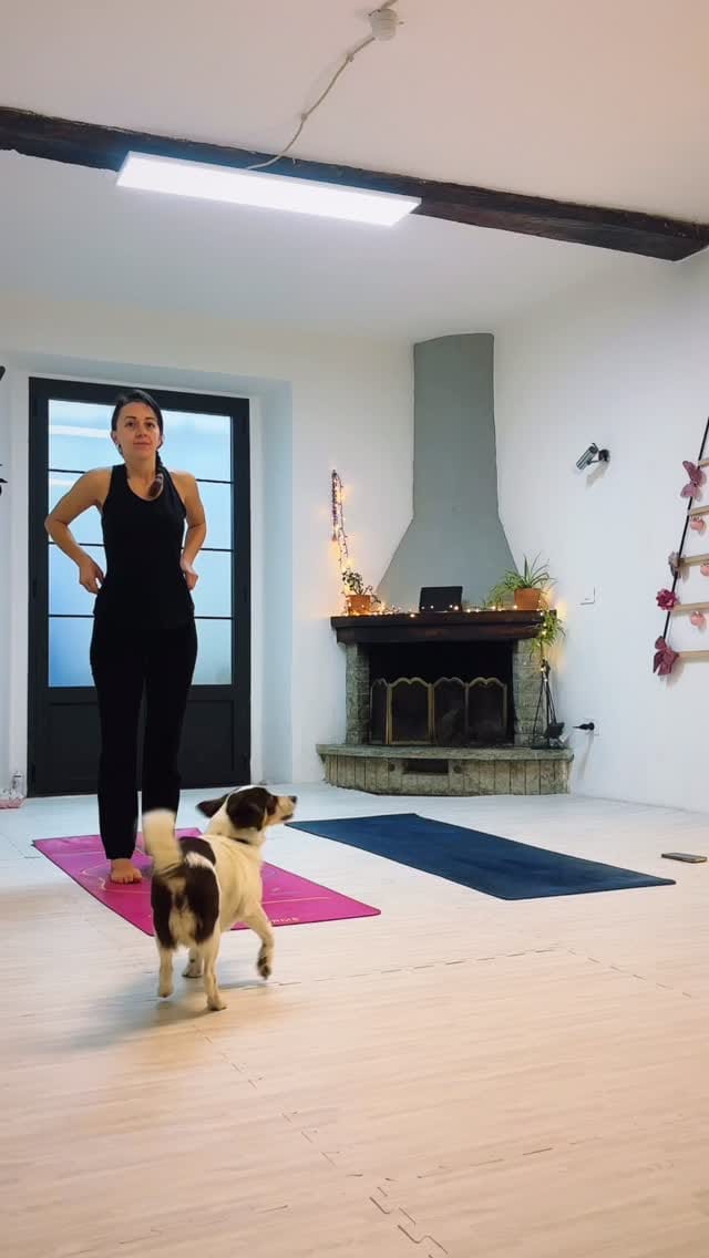 Post 4 by Elvis Gjeci on Instagram (video)