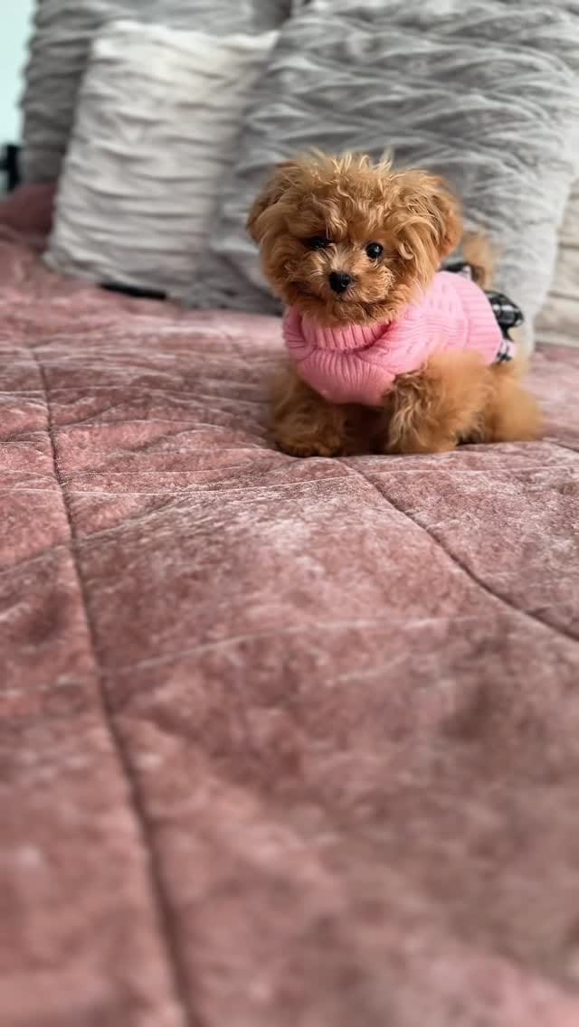 Post 1 by Princess🦋Elle on Instagram (video)