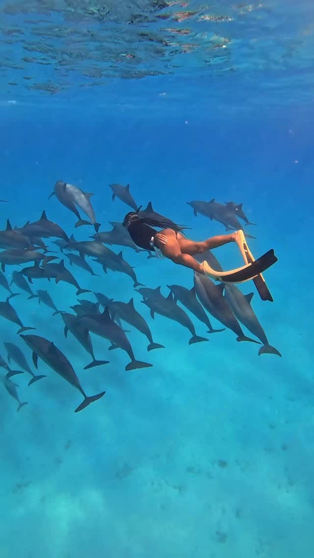 Post 3 by Tara McCloud on Instagram (video)