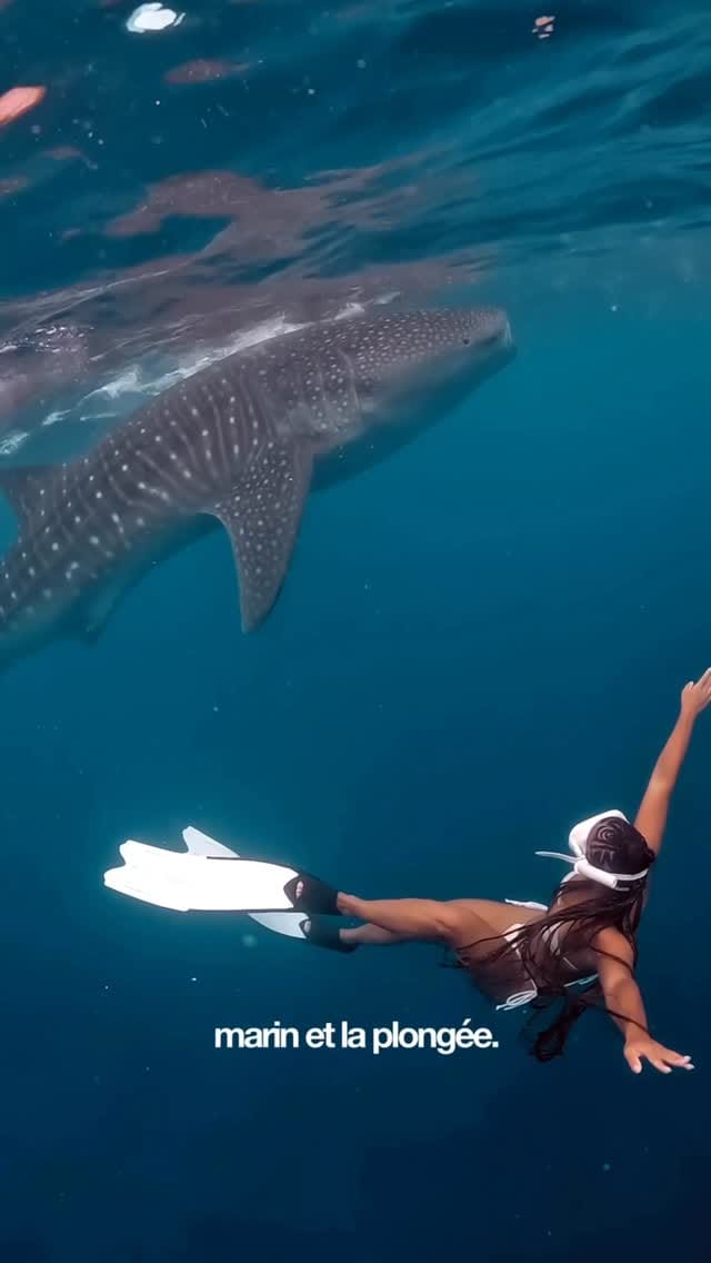 Post 9 by Tara McCloud on Instagram (video)