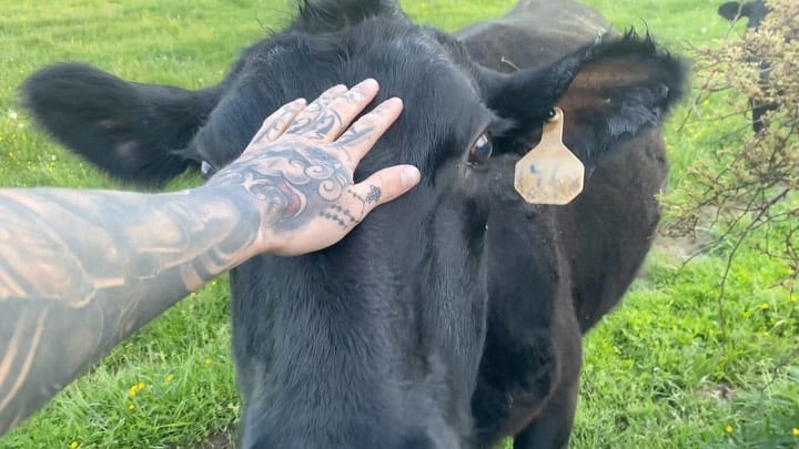 Post 3 by 𝕏𝕒𝕟𝕕𝕖𝕣 ℕ𝕖𝕗𝕗 on Instagram (video)
