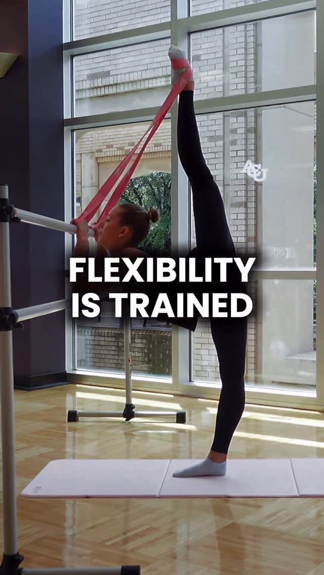 Post 4 by Shelby McNamara | FlexAbilities on Instagram (video)