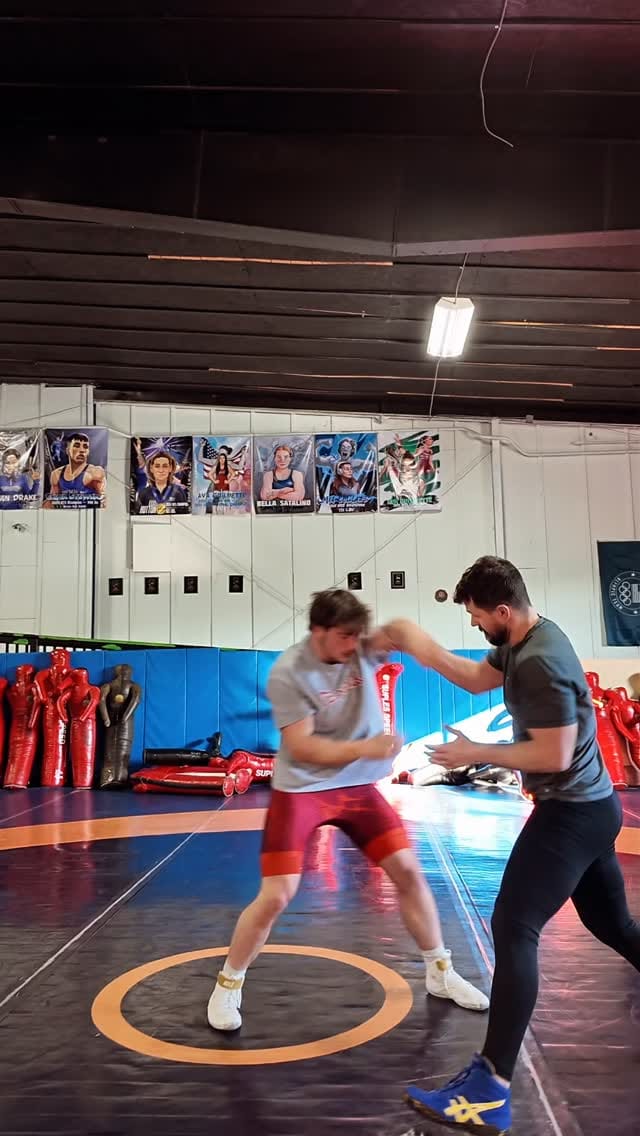 Post 9 by Curby on Instagram (video)