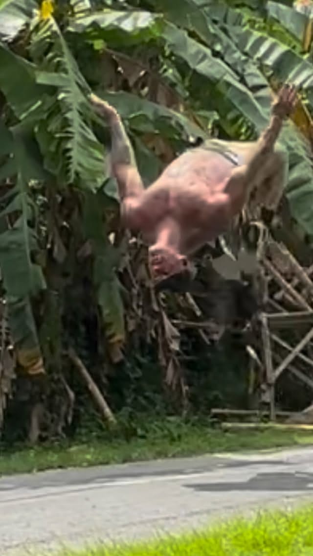 Post 9 by Cooper black on Instagram (video)